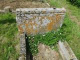 image of grave number 251832